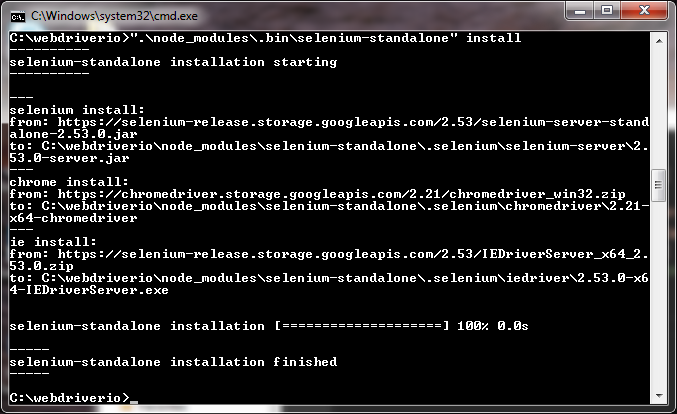 seleniumDriverInstall