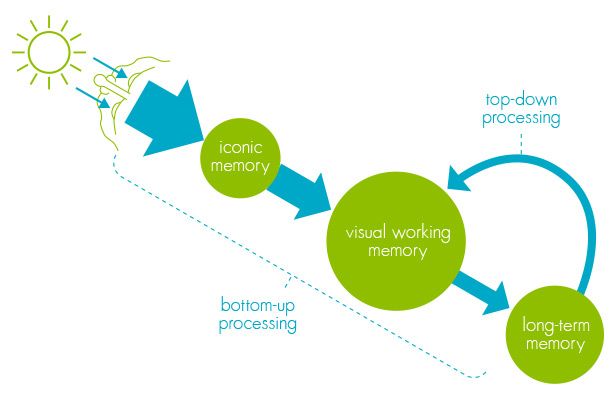 The Science behind Data Visualisation